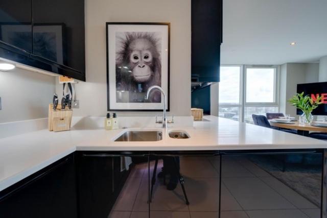 Tallest Building In The City Centre Sleeps 5 Incredible City Mountain And Lagan Views Belfast Esterno foto